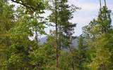 1.01 Acres &nbsp; Ducktown TN, Polk County, Georgia  $40,000
