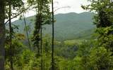 5.25 Acres &nbsp; Ducktown TN, Polk County, Georgia  $99,000