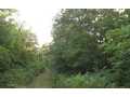27.58 Acres &nbsp; Minerl Bluff,GA, Fannin County, Georgia  $330,960
