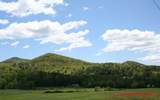55 Acres &nbsp; BLAIRSVILLE GA, Union County, Georgia  $1,292,500