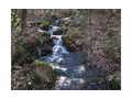 12 Acres &nbsp; Blairsville, Union County, Georgia  $234,000