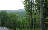 3 Acres &nbsp; Morganton, Fannin County, Georgia  $59,900