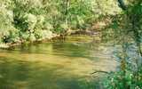 1.19 Acres &nbsp; Blairsville, Union County, Georgia  $99,750