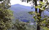 28.92 Acres &nbsp; Hayesville, Clay County, North Carolina  $172,074