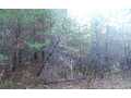 1.1 Acres &nbsp; Culberson, Cherokee County, North Carolina  $23,000