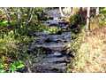 34.04 Acres &nbsp; Hiawassee, Towns County, Georgia  $699,900