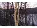 .3 Acres &nbsp; Nantahala, Cherokee County, North Carolina  $268,000