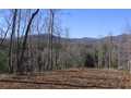 10 Acres &nbsp; Morganton, GA, Fannin County, Georgia  $799,900