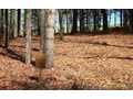 1.15 Acres &nbsp; Blairsville, Union County, Georgia  $54,900