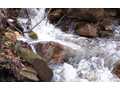 237 Acres &nbsp; Ellijay, Gilmer County, Georgia  $2,843,763