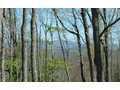 1.01 Acres &nbsp; Warne, Clay County, North Carolina  $34,300