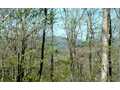 1.77 Acres &nbsp; Warne, Clay County, North Carolina  $41,300