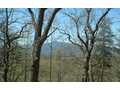 1.11 Acres &nbsp; Warne, Clay County, North Carolina  $69,000