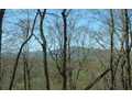 1.22 Acres &nbsp; Warne, Clay County, North Carolina  $79,000