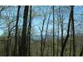 1.73 Acres &nbsp; Warne, Clay County, North Carolina  $79,000