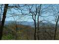 1.5 Acres &nbsp; Warne, Clay County, North Carolina  $62,300