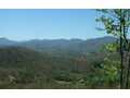 1.57 Acres &nbsp; Warne, Clay County, North Carolina  $99,000