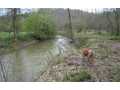 3.8 Acres &nbsp; Blue Ridge, Gilmer County, Georgia  $124,450