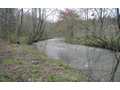 6.1 Acres &nbsp; Blue Ridge, Gilmer County, Georgia  $198,250