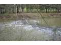 3.2 Acres &nbsp; Blue Ridge, Gilmer County, Georgia  $136,000