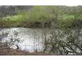 3.1 Acres &nbsp; Blue Ridge, Gilmer County, Georgia  $128,650