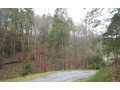 3.8 Acres &nbsp; Blue Ridge, Gilmer County, Georgia  $89,528