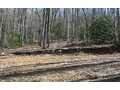3.75 Acres &nbsp; Robbinsville, Graham County, North Carolina  $29,900