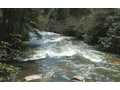 1.8 Acres &nbsp; Cherry Log, GA, Gilmer County, Georgia  $180,000