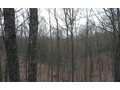 House in Ellijay, Gilmer County, Georgia,   $159,900