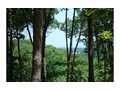 3.27 Acres &nbsp; Jasper, Pickens County, Georgia  $75,000