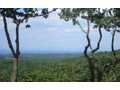 8.2 Acres &nbsp; Jasper, Pickens County, Georgia  $159,900