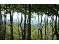 3 Acres &nbsp; Jasper, Pickens County, Georgia  $134,000