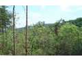 3 Acres &nbsp; Jasper, Pickens County, Georgia  $69,000