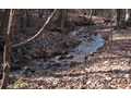 3.16 Acres &nbsp; Jasper, Pickens County, Georgia  $90,000