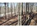 3.1 Acres &nbsp; Jasper, Pickens County, Georgia  $80,000