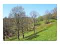 60 Acres &nbsp; Brasstown, Cherokee County, North Carolina  $720,000
