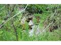 57.07 Acres &nbsp; Ellijay, GA, Gilmer County, Georgia  $1,427,000