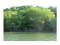 .81 Acres &nbsp; Hiawassee, Burke County, Georgia  $495,000