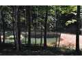 19.07 Acres &nbsp; BLAIRSVILLE, Union County, Georgia  $601,277