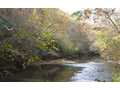 24.89 Acres &nbsp; Blairsville, GA, Union County, Georgia  $316,480