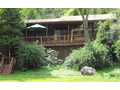 3.9 Acres &nbsp; McCaysville, Fannin County, Georgia  $379,900