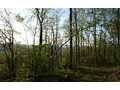 18 Acres &nbsp; Robbinsville, Graham County, North Carolina  $117,000