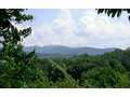 20 Acres &nbsp; Hayesville, Clay County, North Carolina  $1,200,000