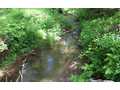 19.64 Acres &nbsp; HINTON, Gordon County, Georgia  $186,000