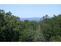 1.4 Acres &nbsp; Morganton, GA, Fannin County, Georgia  $49,900