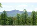 4.24 Acres &nbsp; Young Harris, Towns County, Georgia  $159,900