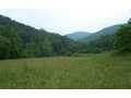 35.96 Acres &nbsp; Hiawassee, Towns County, Georgia  $719,160