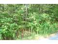 1.33 Acres &nbsp; Ranger, Gordon County, Georgia  $115,000