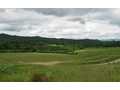 1.1 Acres &nbsp; Warne, Cherokee County, North Carolina  $49,900