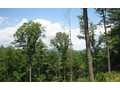 9999 Acres &nbsp; MURPHY, Cherokee County, Georgia  $58,500